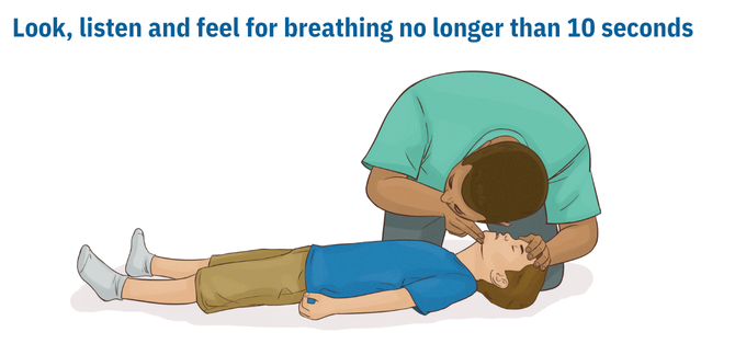 Scan the victim’s chest
