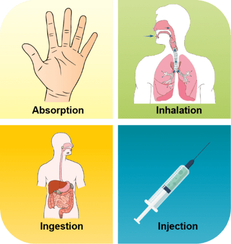 Poisons can enter the body in four ways: