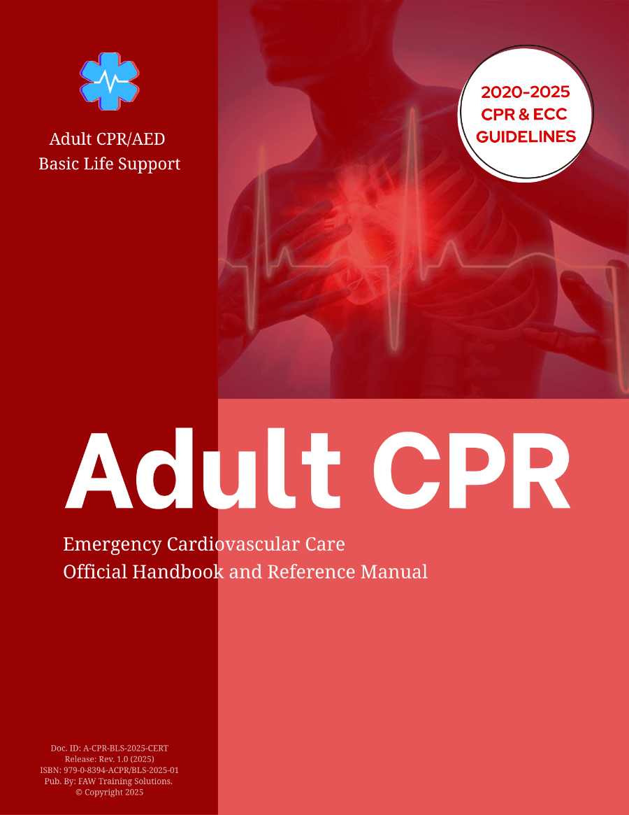 Adult CPR